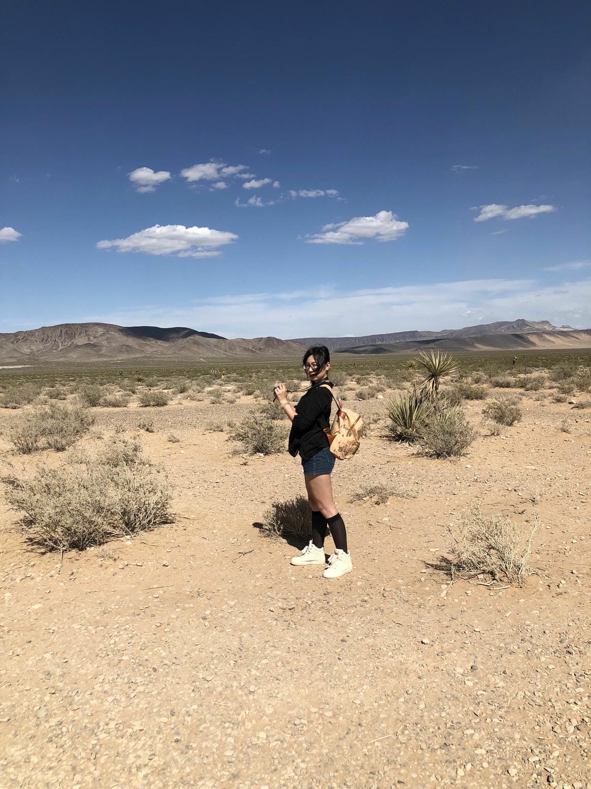 Seven Magic Mountains Seven Magic Mountains