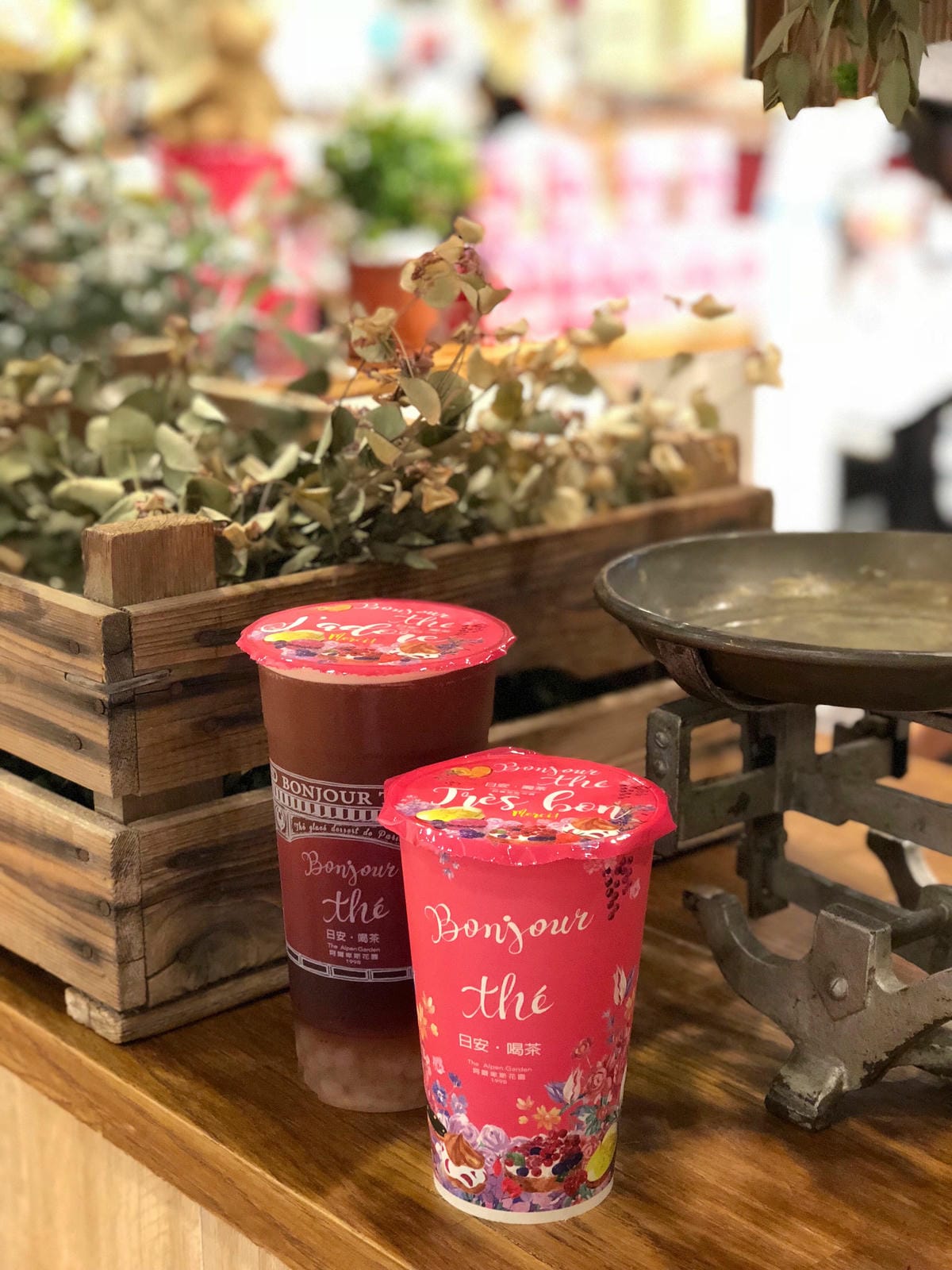 日安 喝茶 bonjour thé 日安 喝茶 bonjour thé