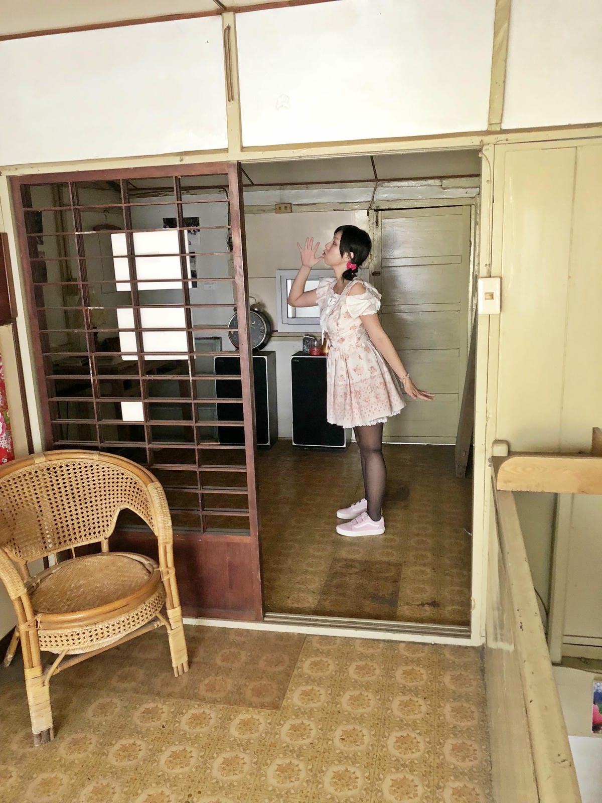 貓咪高地