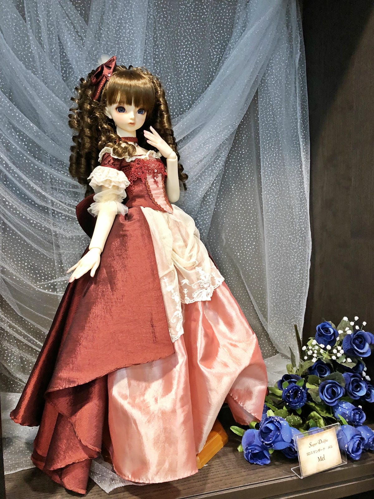 台中▴西屯區│Dolls天堂│Anitama-Volks f 台中▴西屯區│Dolls天堂│Anitama-Volks f