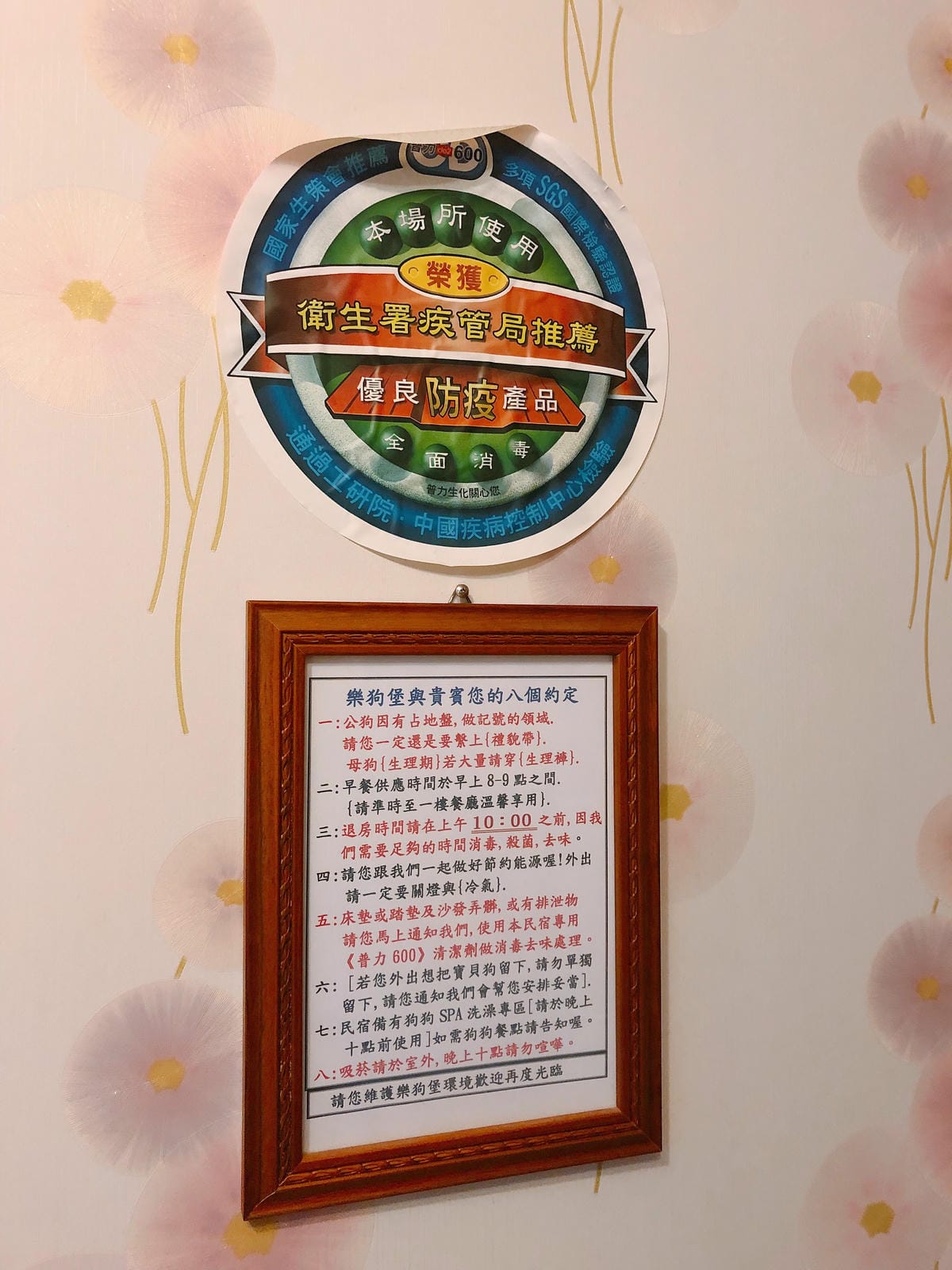 帶著狗狗去旅行