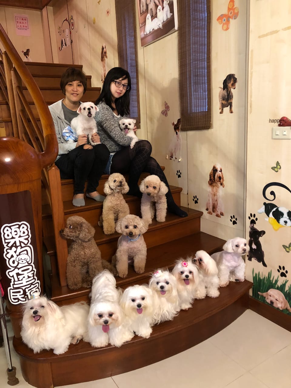 帶著狗狗去旅行
