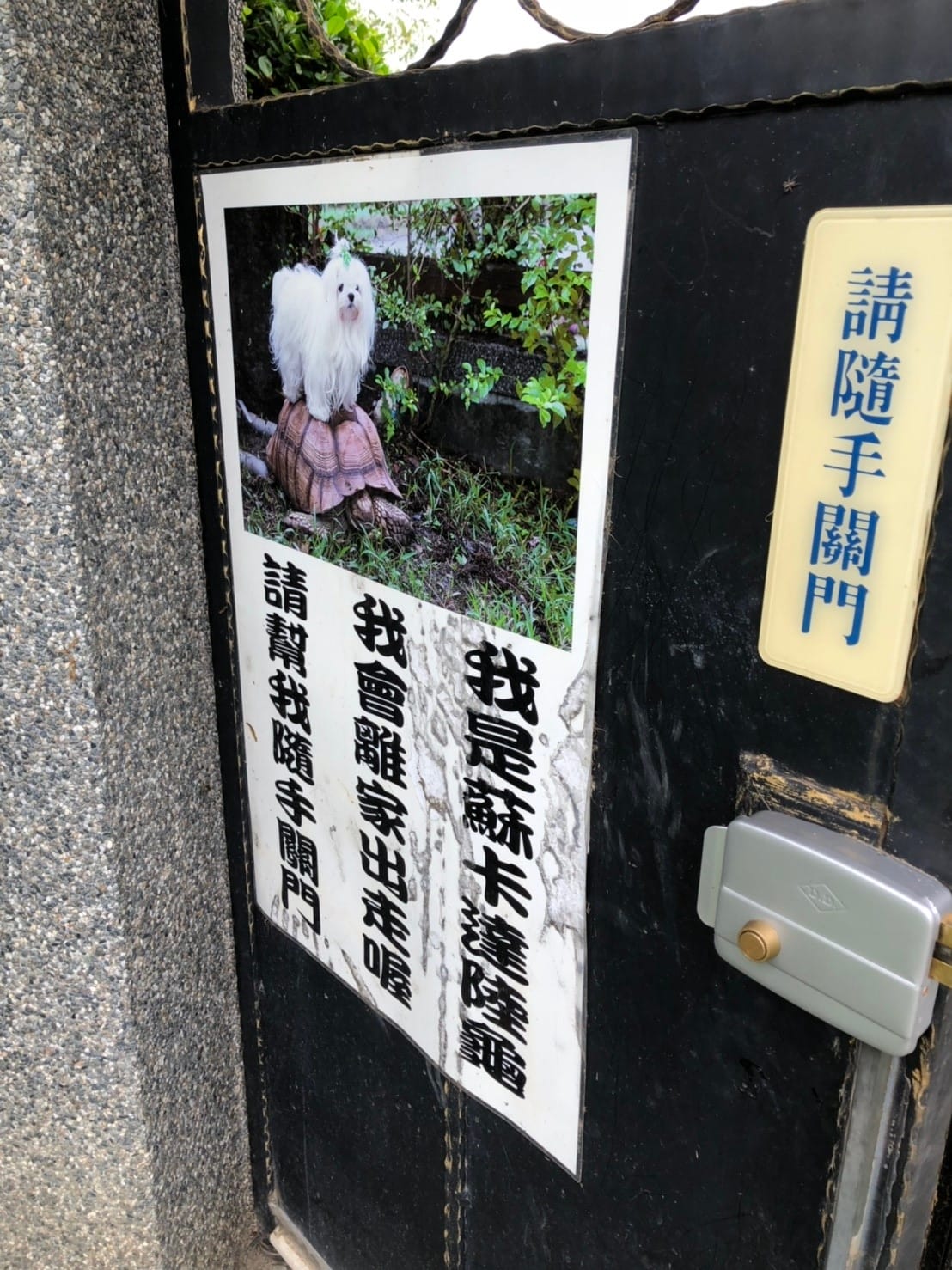 宜蘭狗狗_190201_0003.jpg