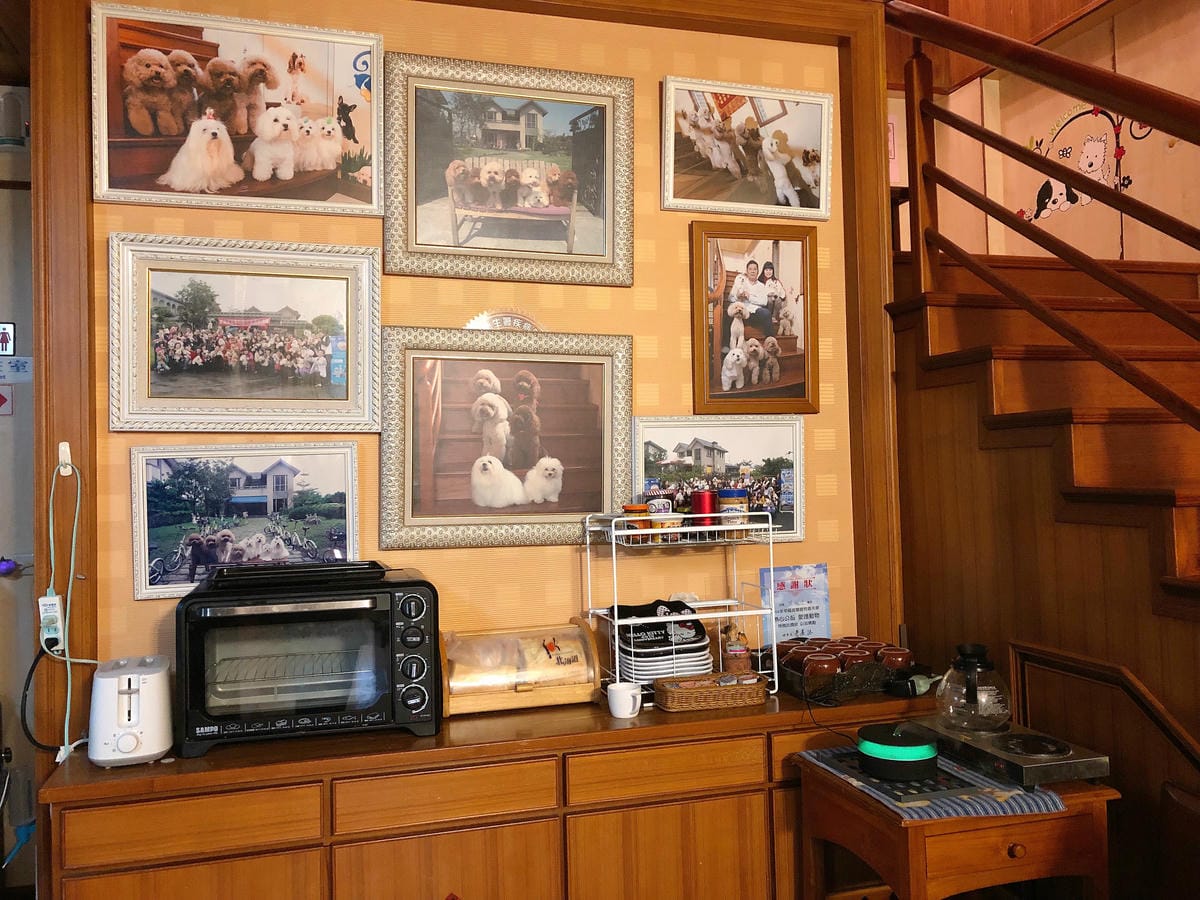 帶著狗狗去旅行
