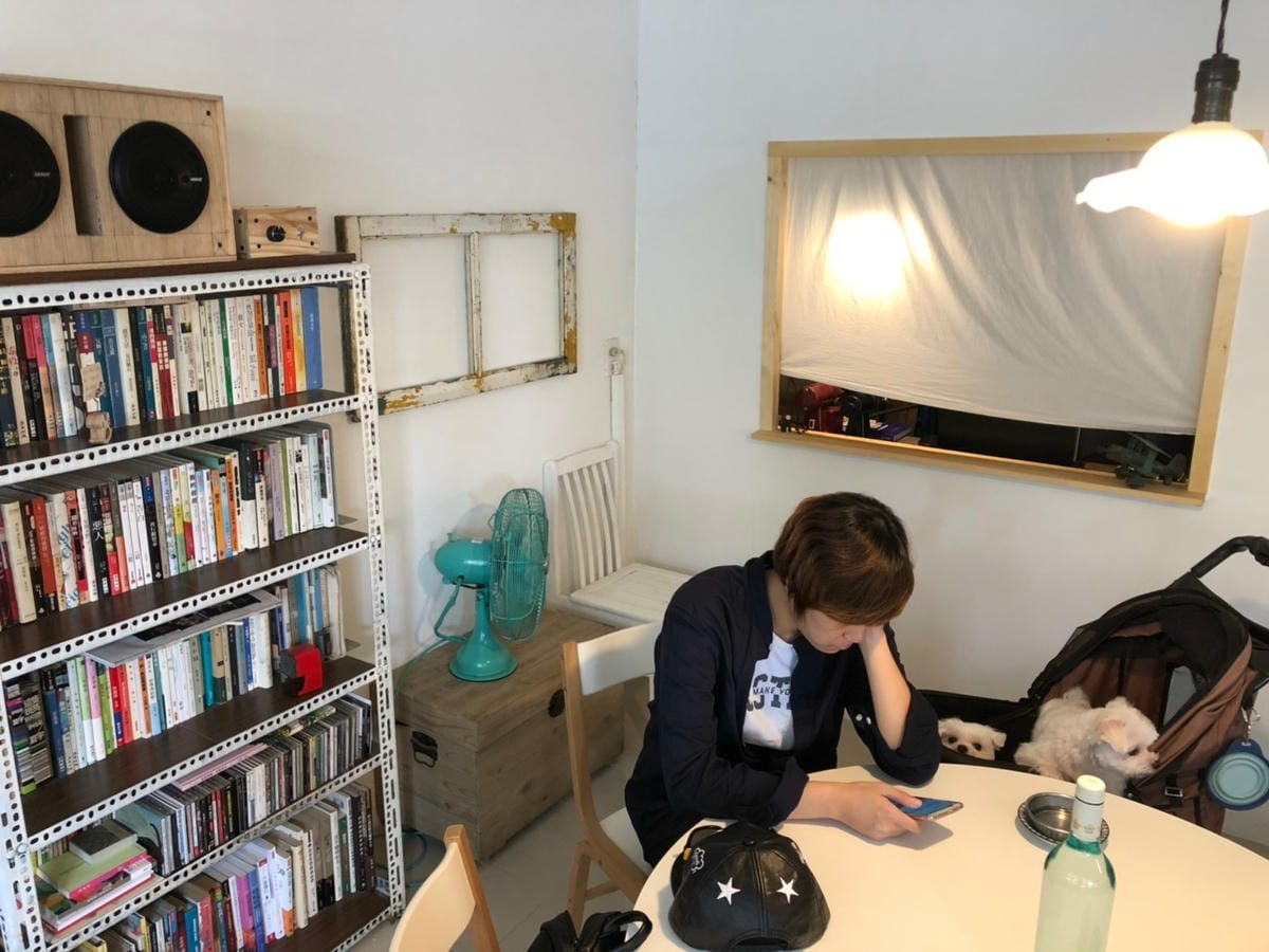 宜蘭狗狗_190201_0033.jpg 宜蘭狗狗_190201_0033.jpg