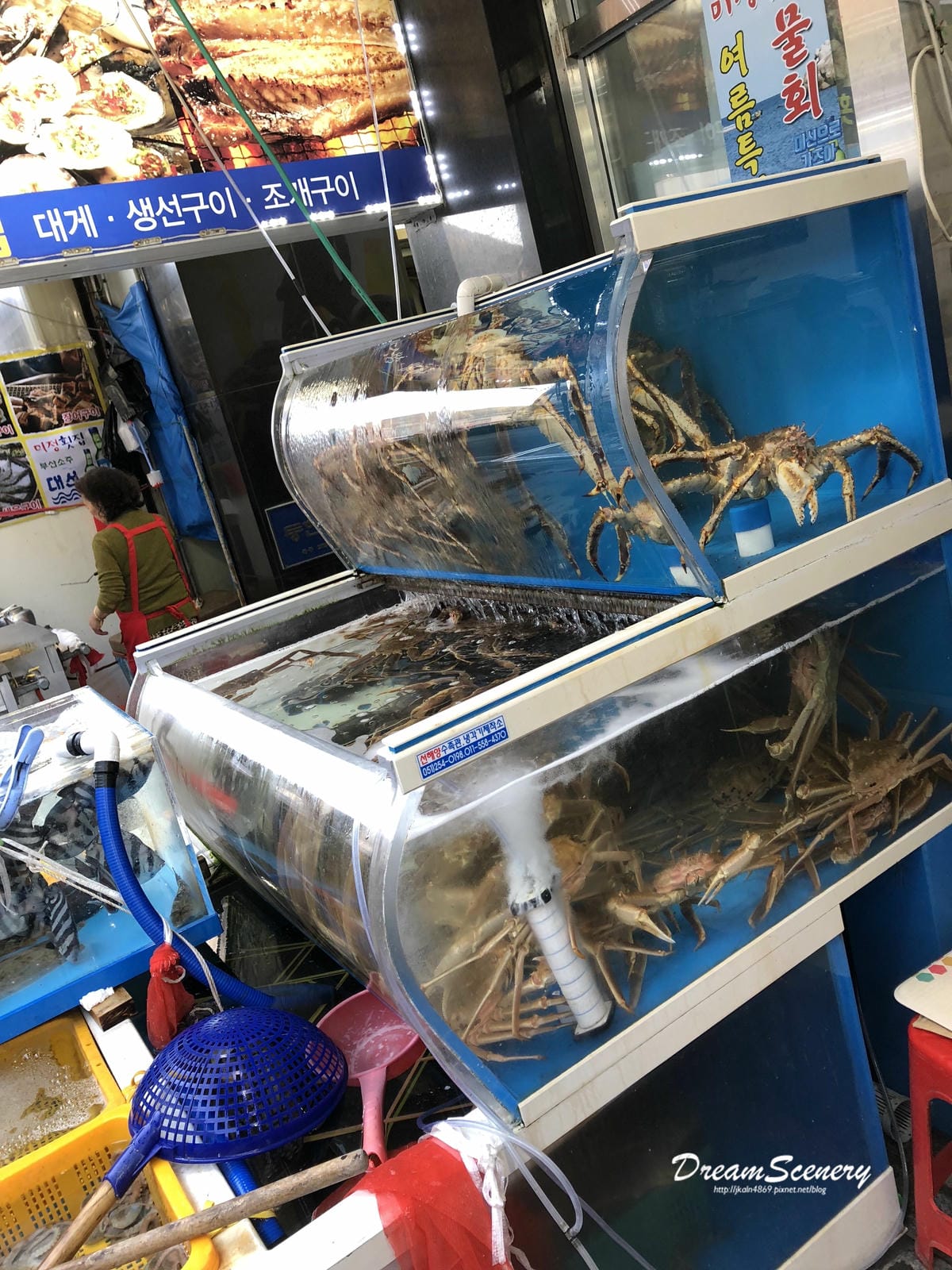 【韓國-釜山】札嘎其市場│新鮮海鮮料理│ 洣鼎生魚片店