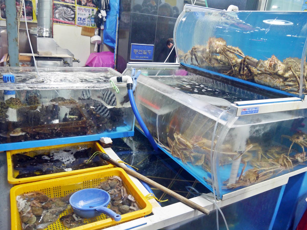 札嘎其市场 札嘎其市场
