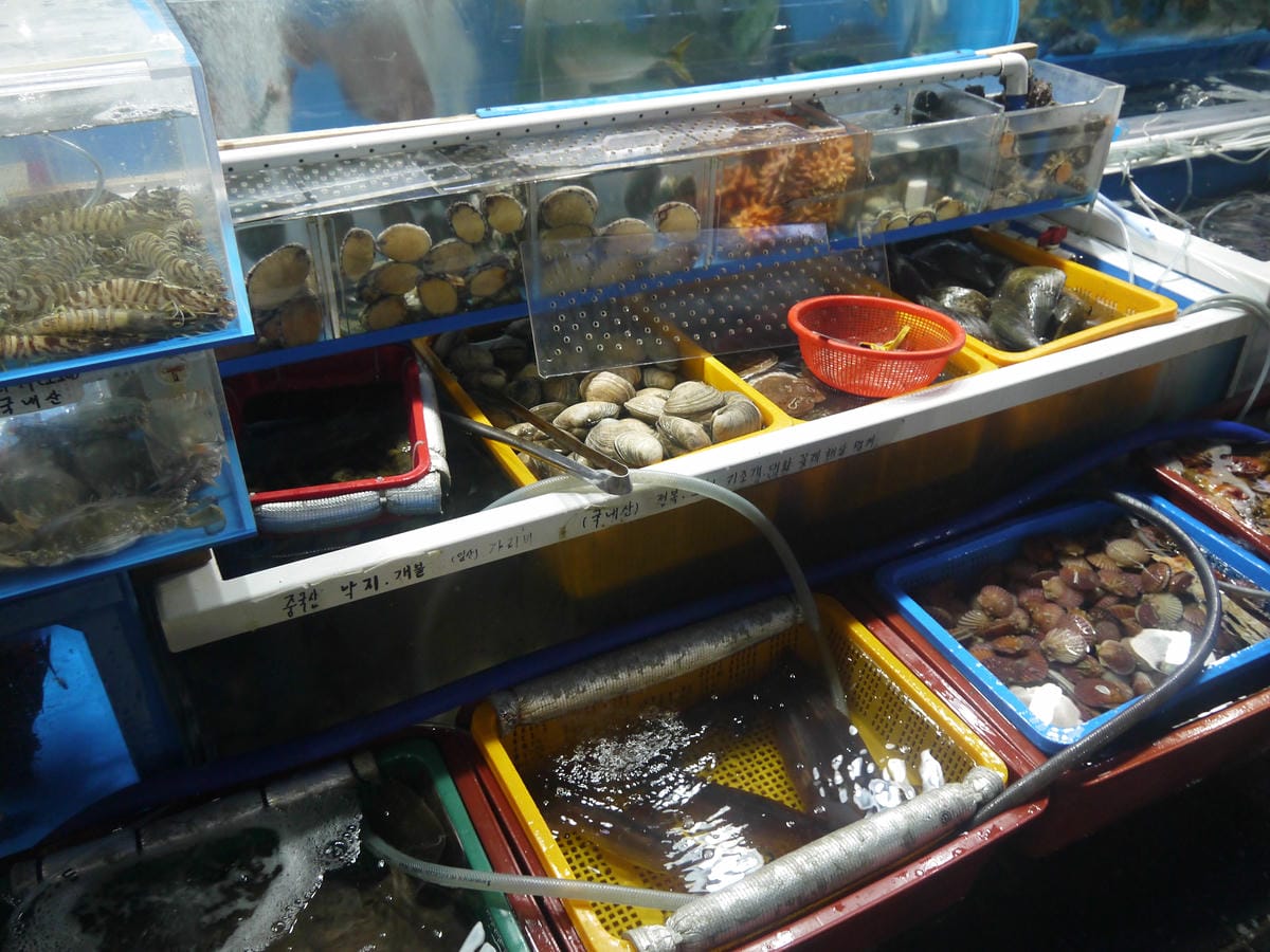 札嘎其市场 札嘎其市场