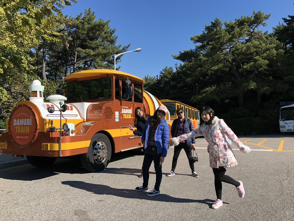 태종대 남향전망대太宗臺 태종대 남향전망대太宗臺