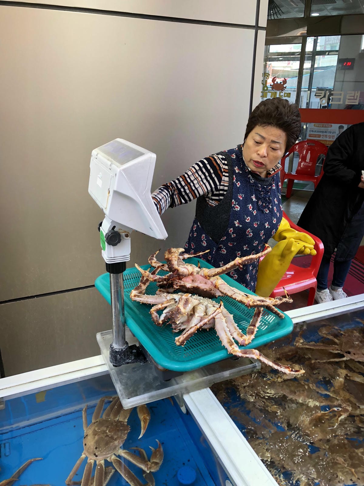 싱싱대게 싱싱대게