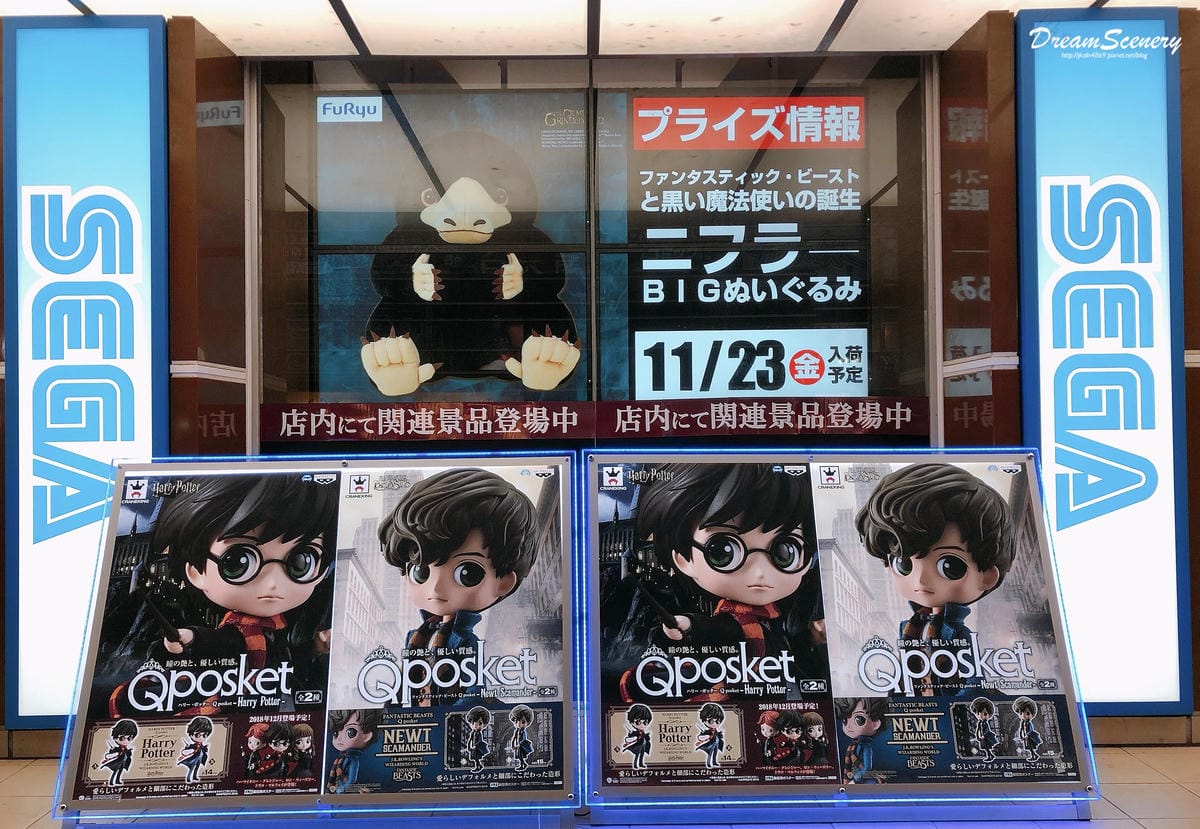 Day7
