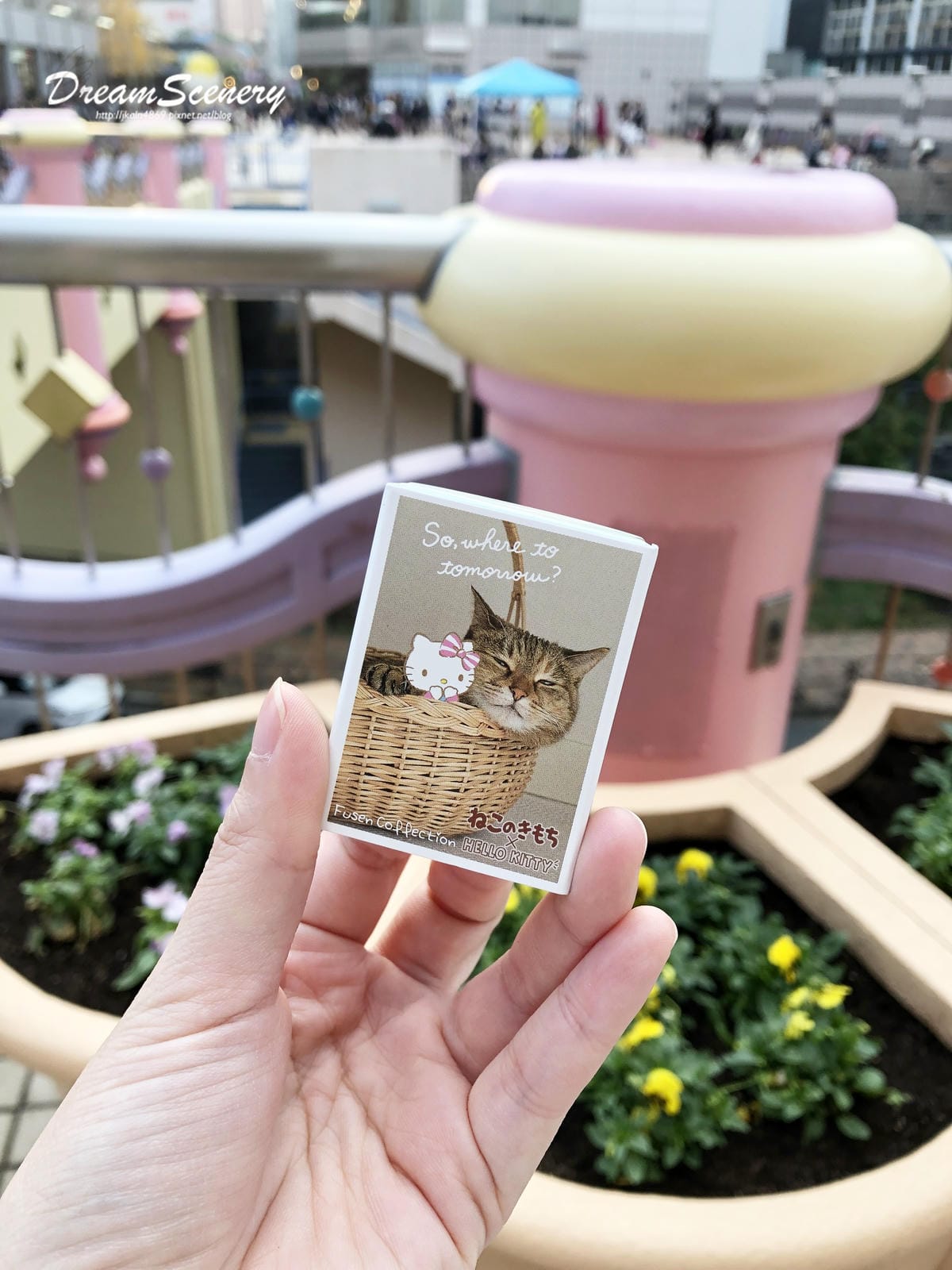 東京彩虹樂園 東京彩虹樂園