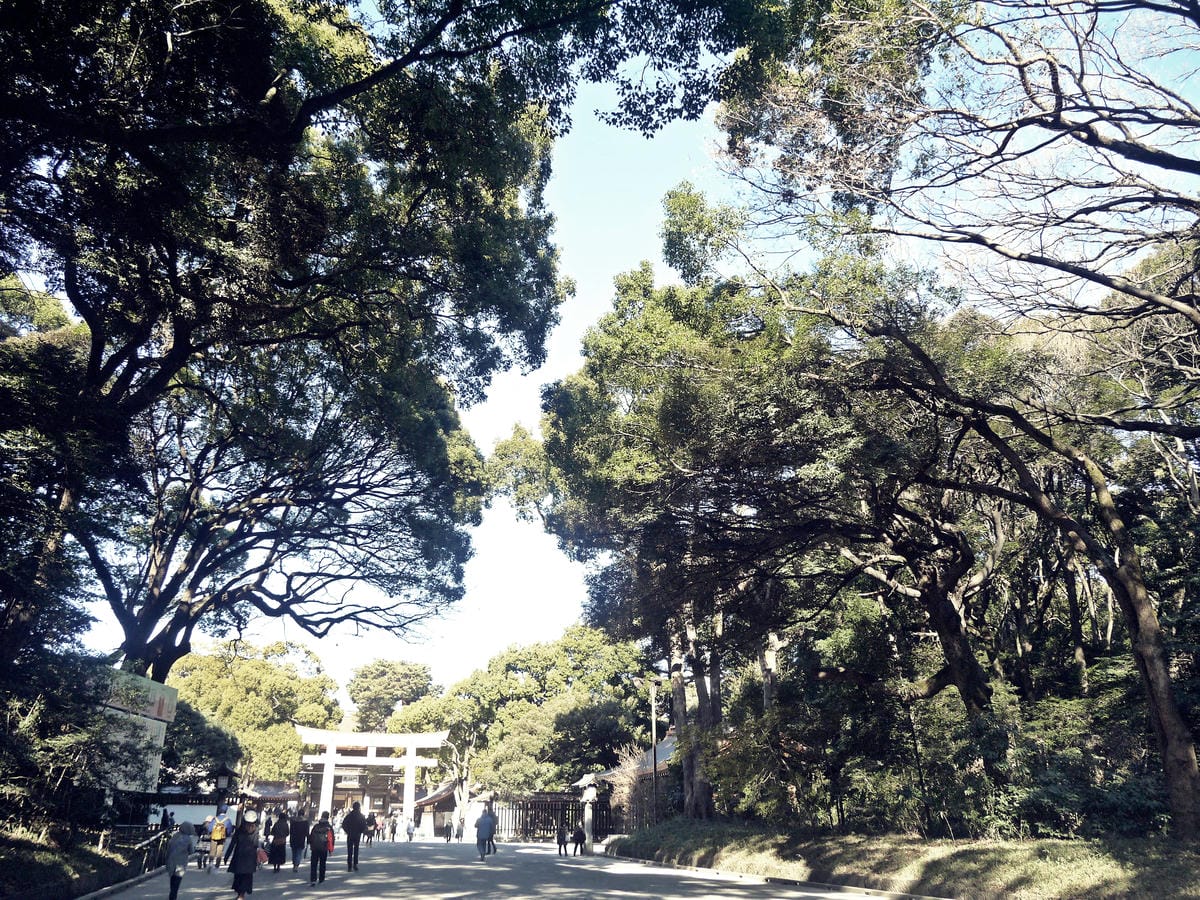 明治神宮 明治神宮