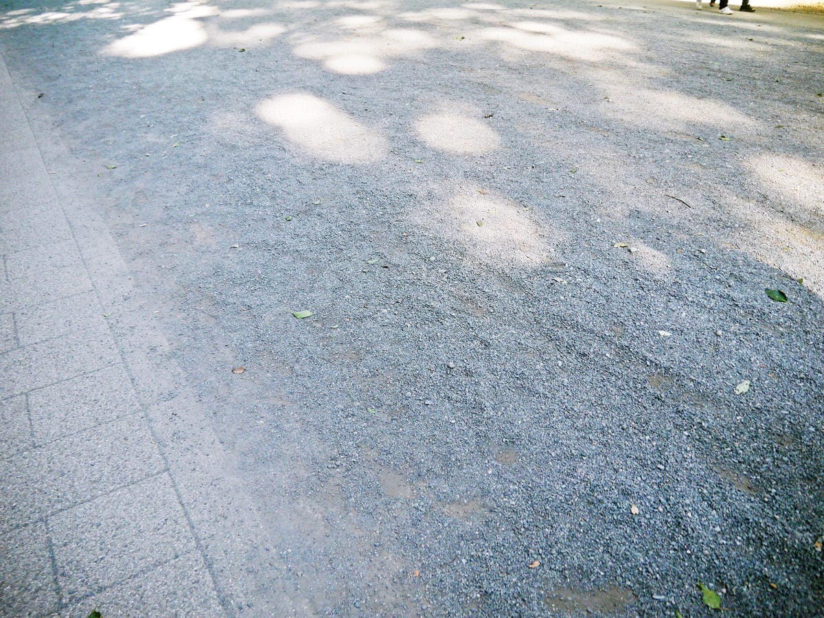 明治神宮 明治神宮