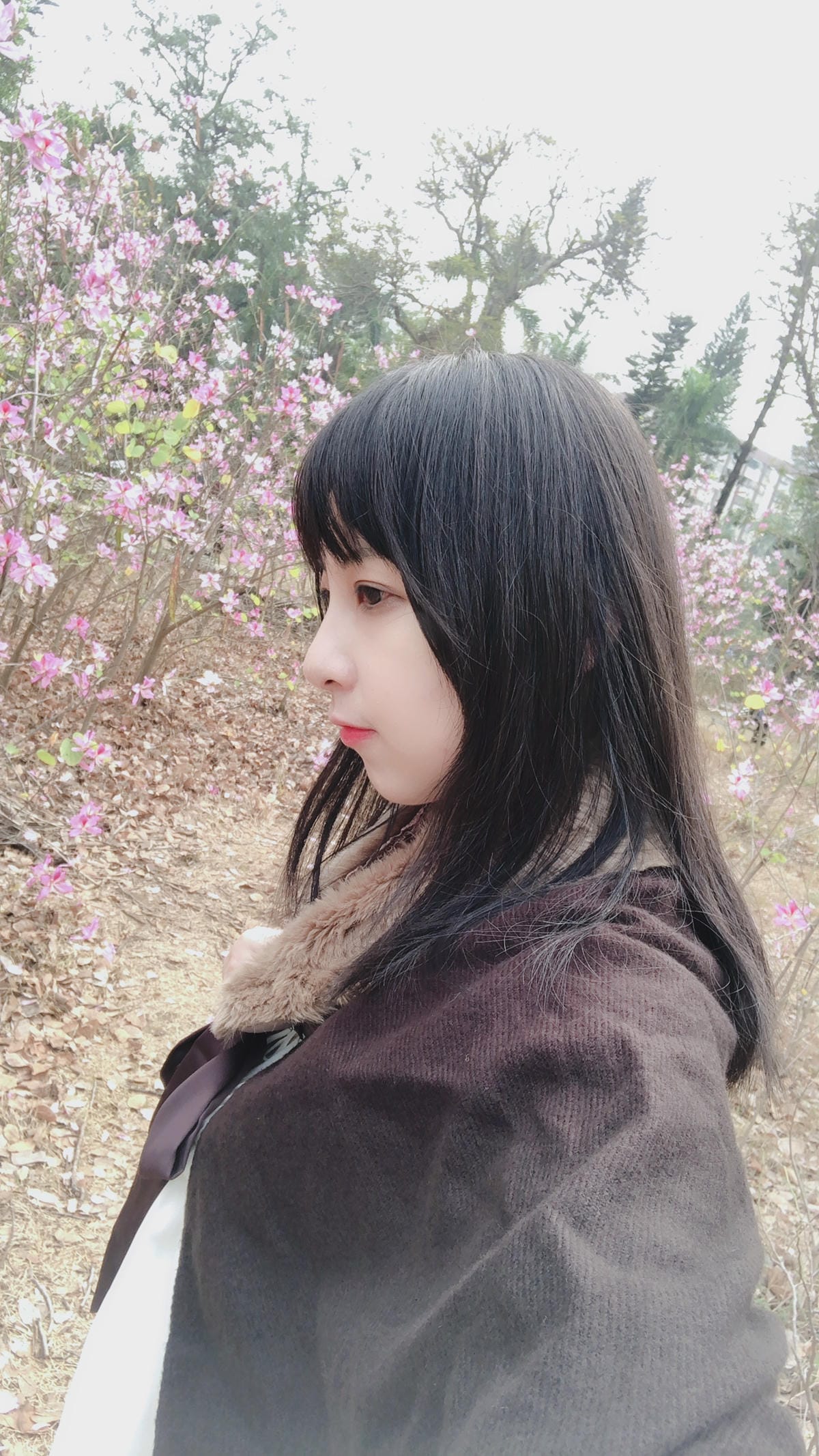 台南公園 台南公園