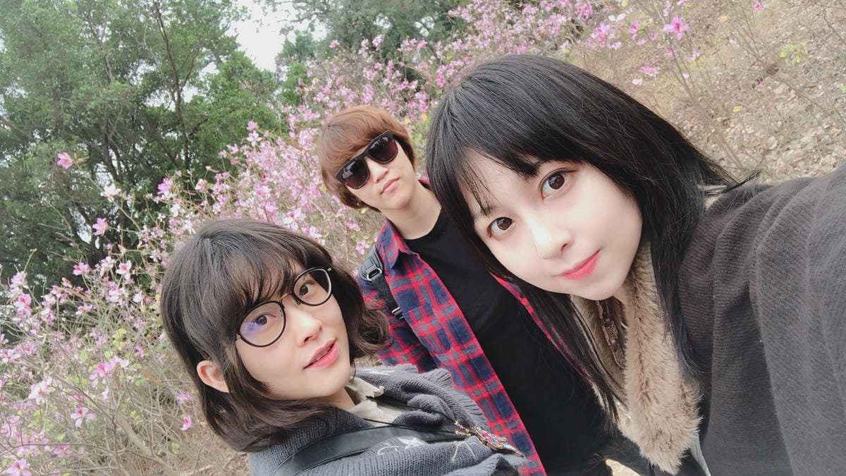 台南公園 台南公園