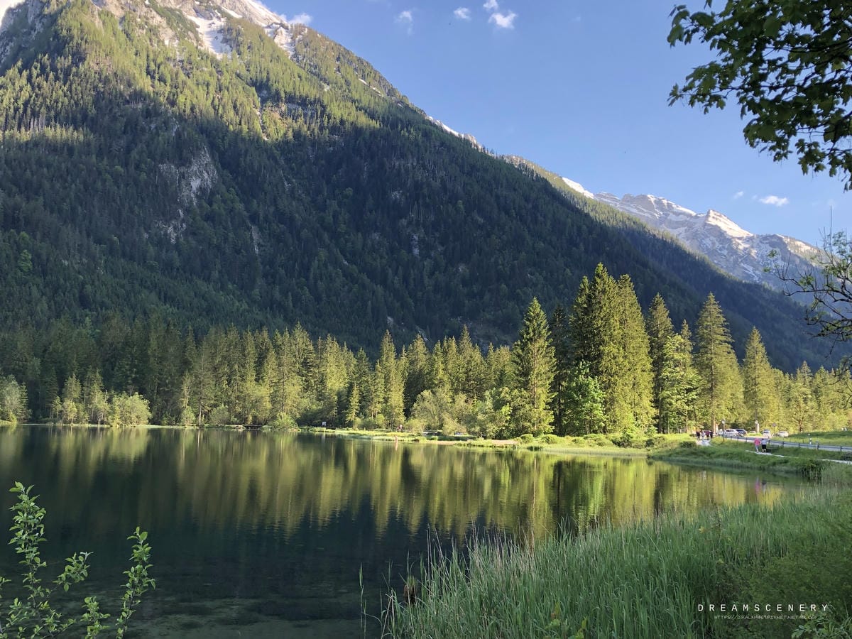 Hintersee Zauberwald 辛特湖 Hintersee Zauberwald 辛特湖
