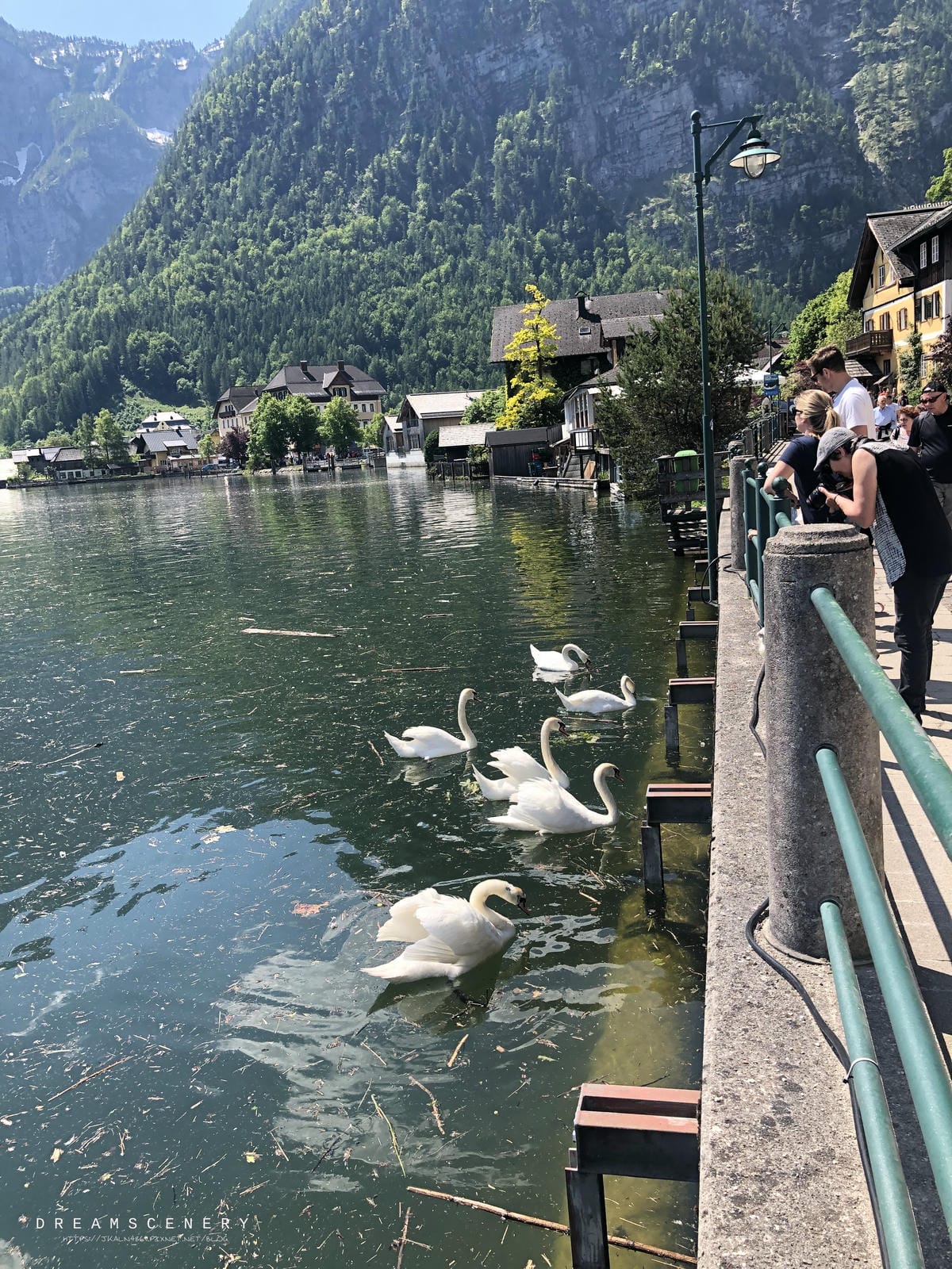 【奧地利-Hallstatt】歐洲最美小鎮哈爾施塔特 │哈修 【奧地利-Hallstatt】歐洲最美小鎮哈爾施塔特 │哈修