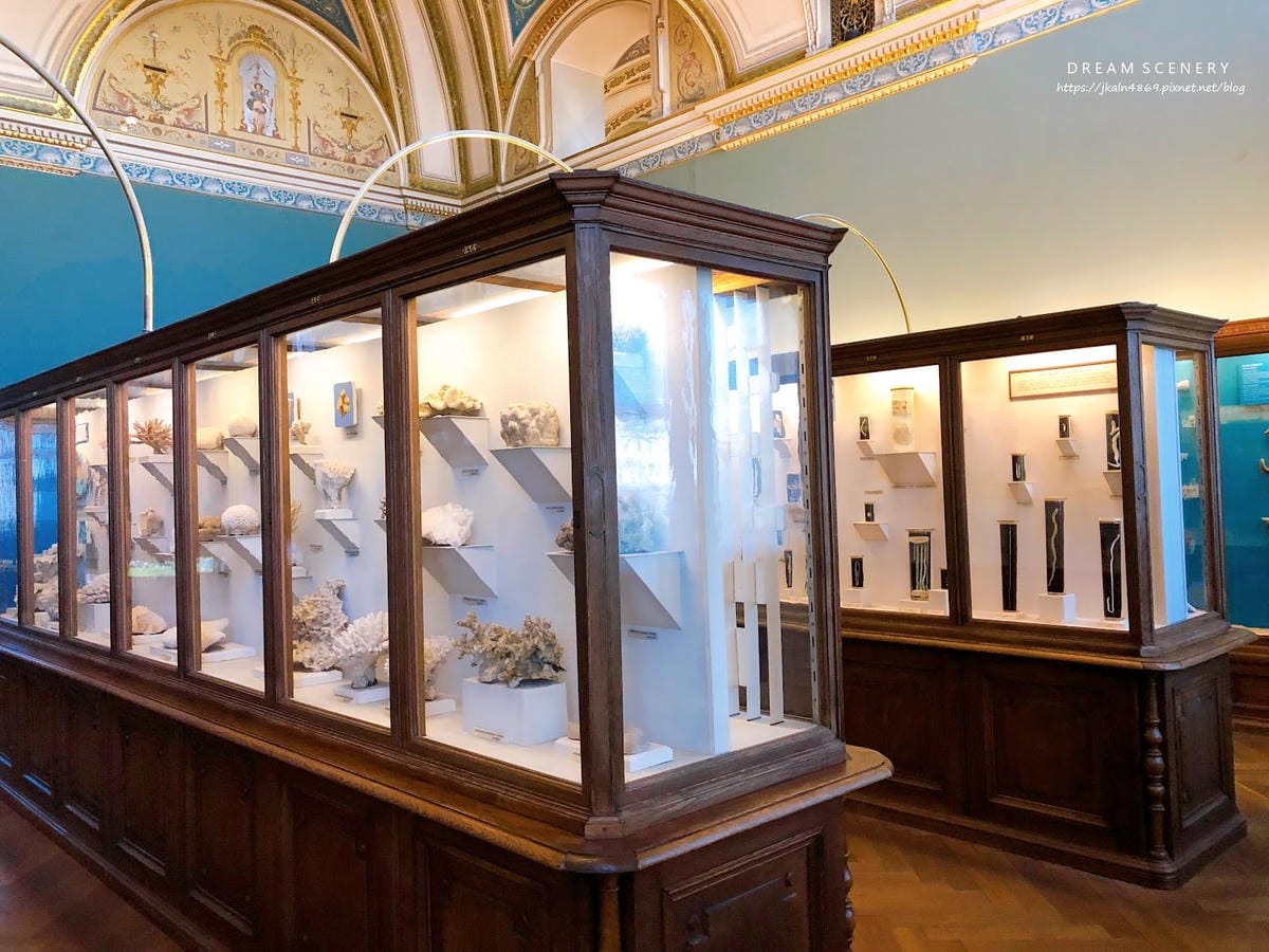 【奧地利-Vienna】維也納景點│自然史博物館│Natur