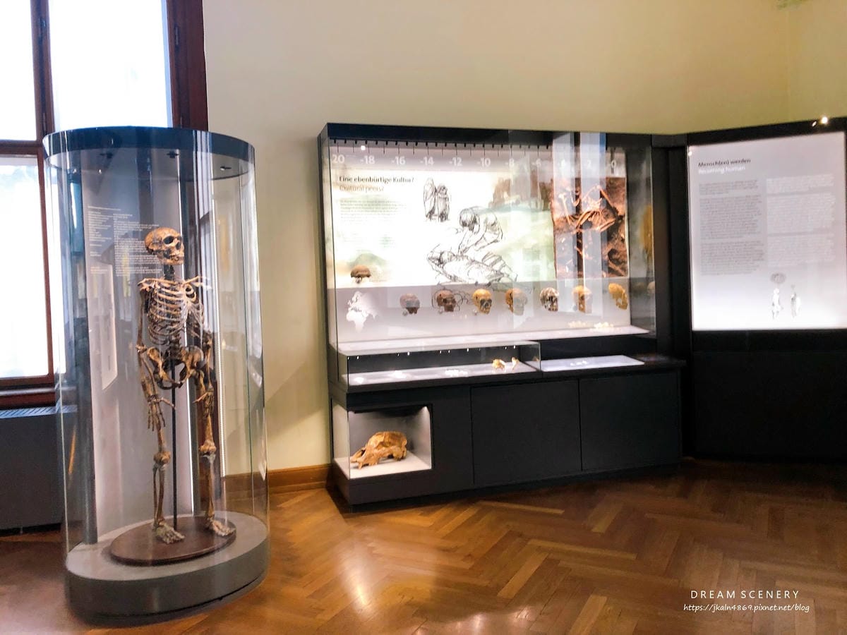 【奧地利-Vienna】維也納景點│自然史博物館│Natur