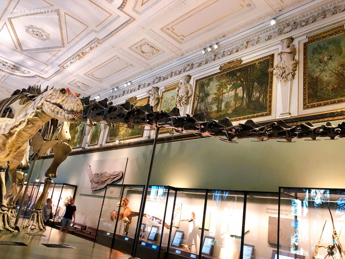 【奧地利-Vienna】維也納景點│自然史博物館│Natur