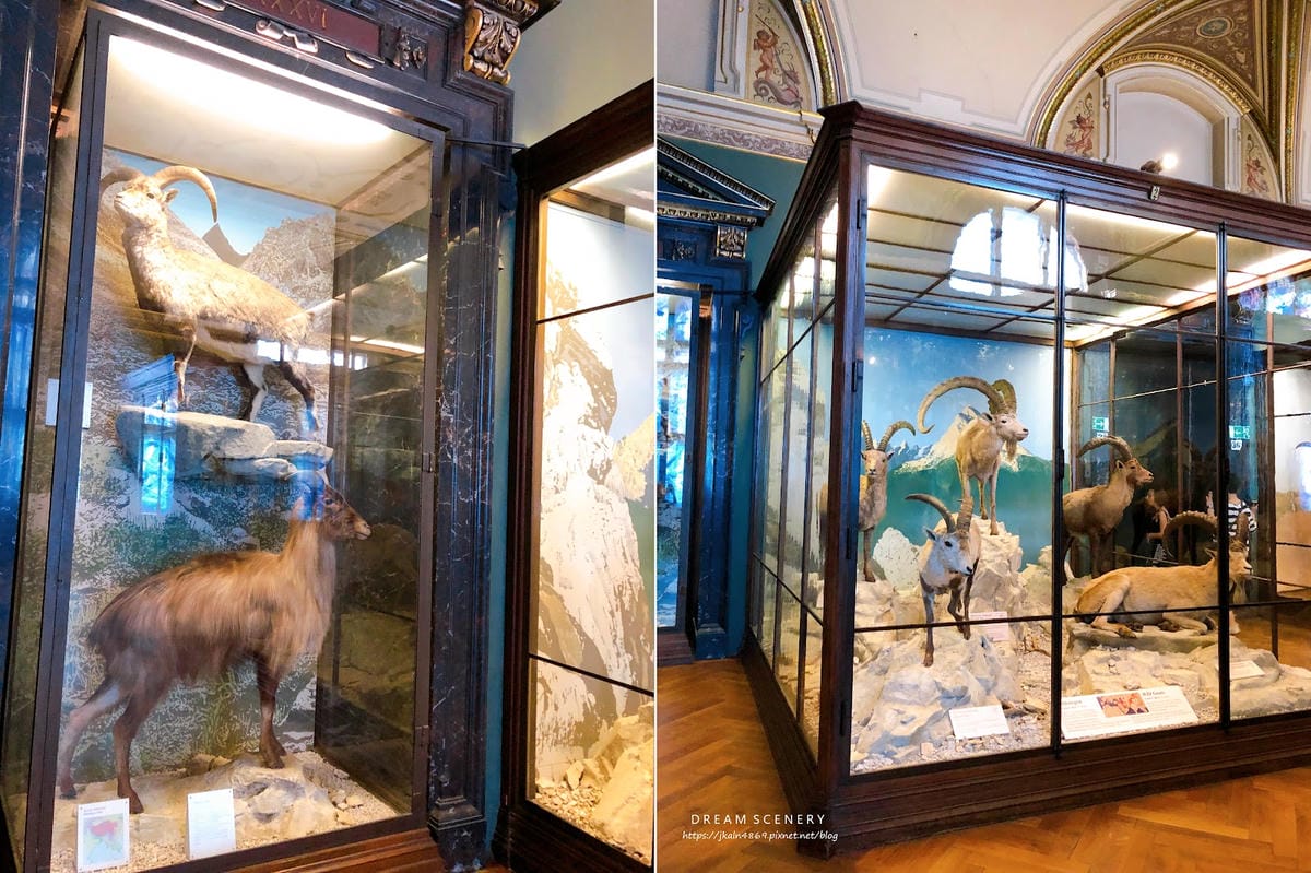 【奧地利-Vienna】維也納景點│自然史博物館│Natur
