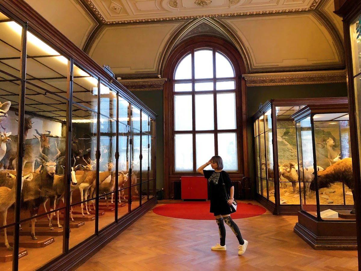 【奧地利-Vienna】維也納景點│自然史博物館│Natur