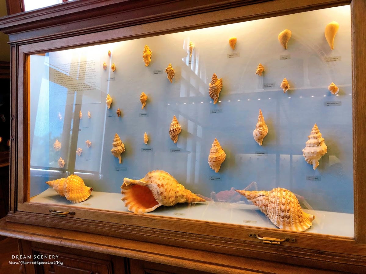 【奧地利-Vienna】維也納景點│自然史博物館│Natur