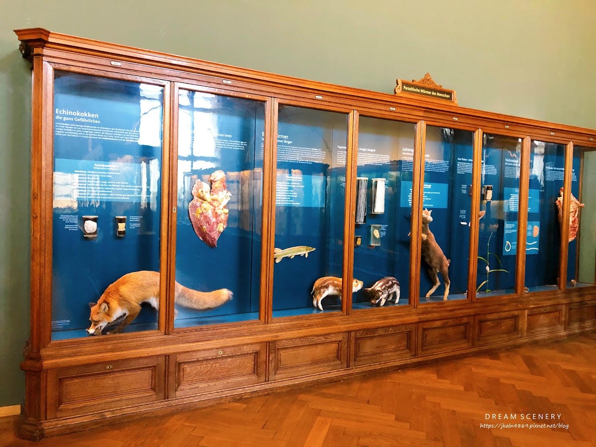 【奧地利-Vienna】維也納景點│自然史博物館│Natur