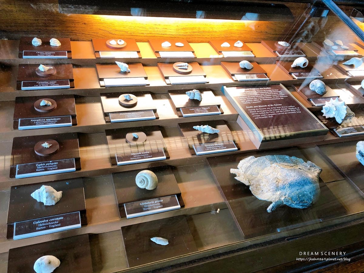 【奧地利-Vienna】維也納景點│自然史博物館│Natur
