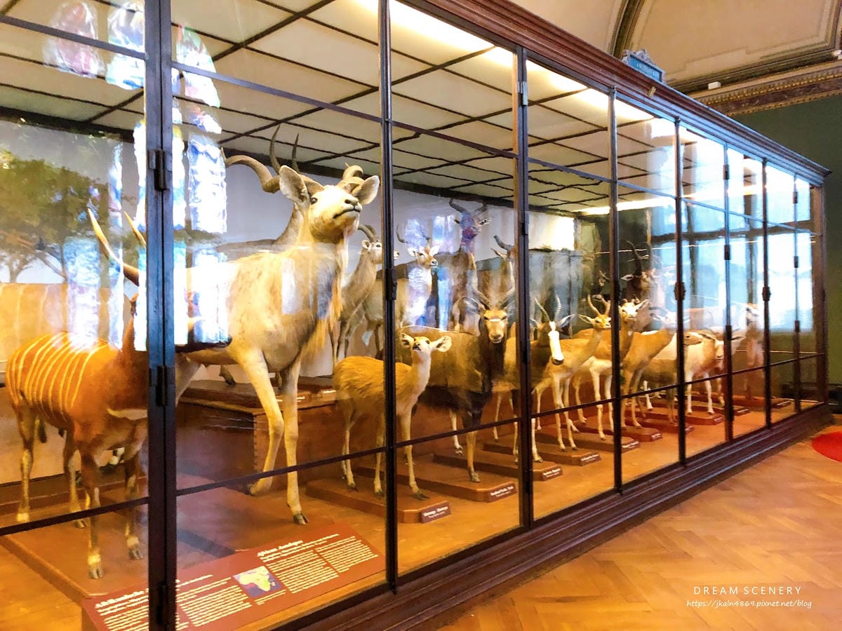【奧地利-Vienna】維也納景點│自然史博物館│Natur