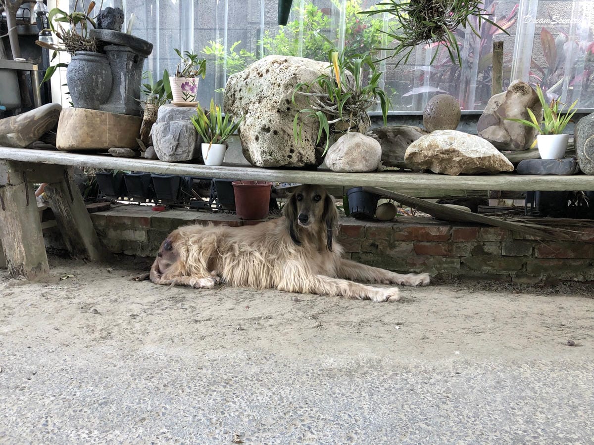 竹塹林記美食「香山阿母私房滷味」 竹塹林記美食「香山阿母私房滷味」