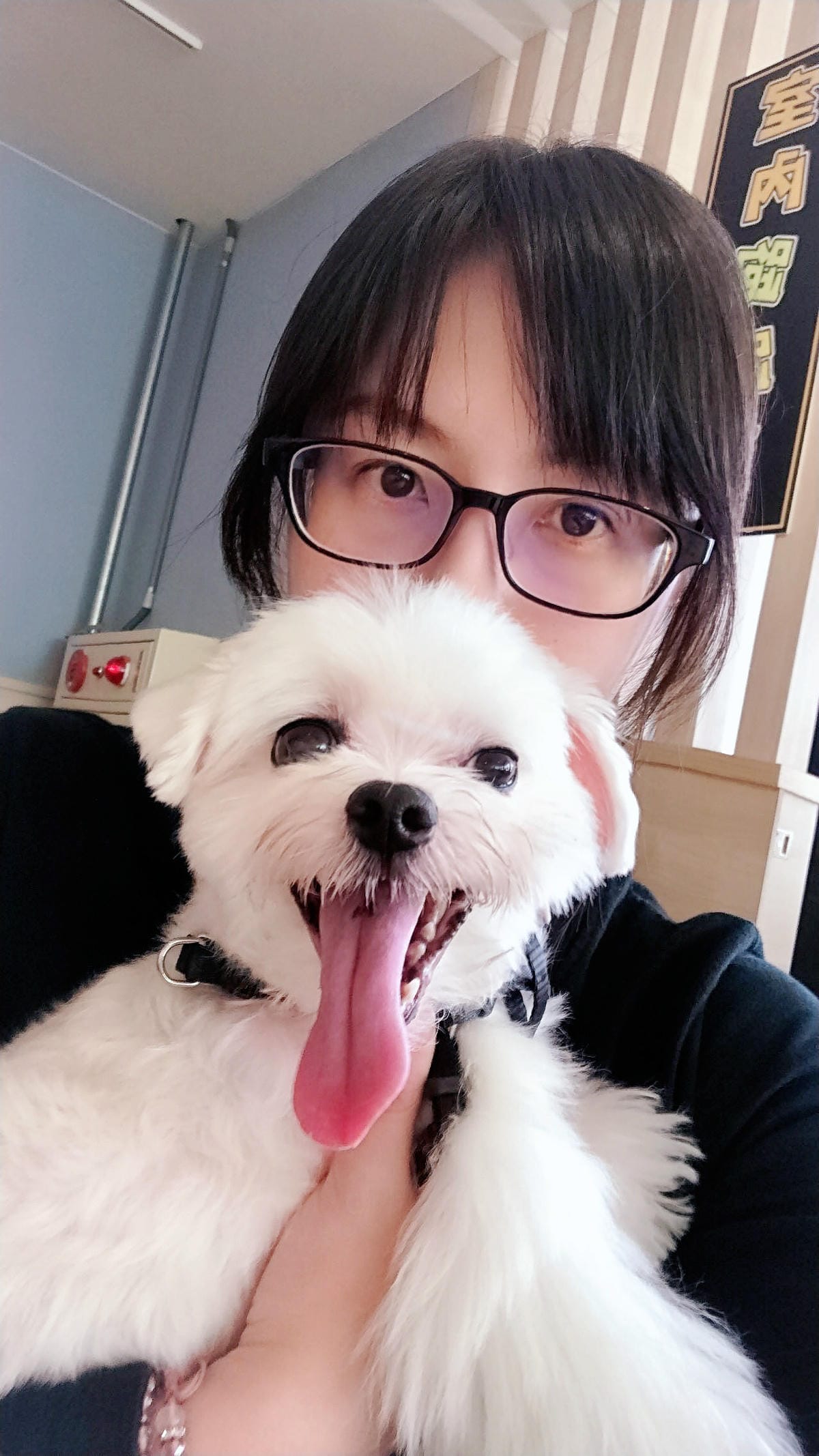 20190林可可家的牧場【親子寵物友善餐廳】 20190林可可家的牧場【親子寵物友善餐廳】