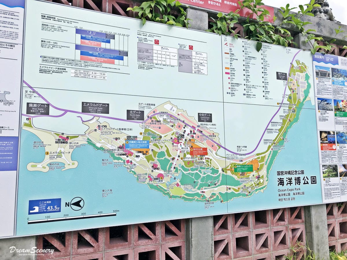 沖繩美麗海水族館 沖繩美麗海水族館