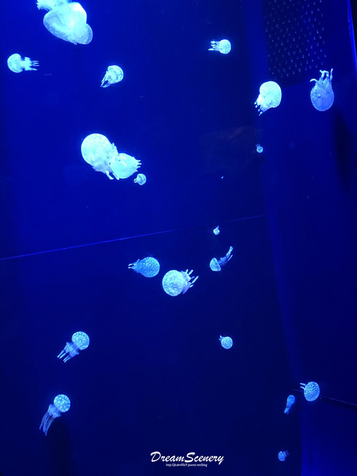 20190905_111220-1510644.jpg 20190905_111220-1510644.jpg