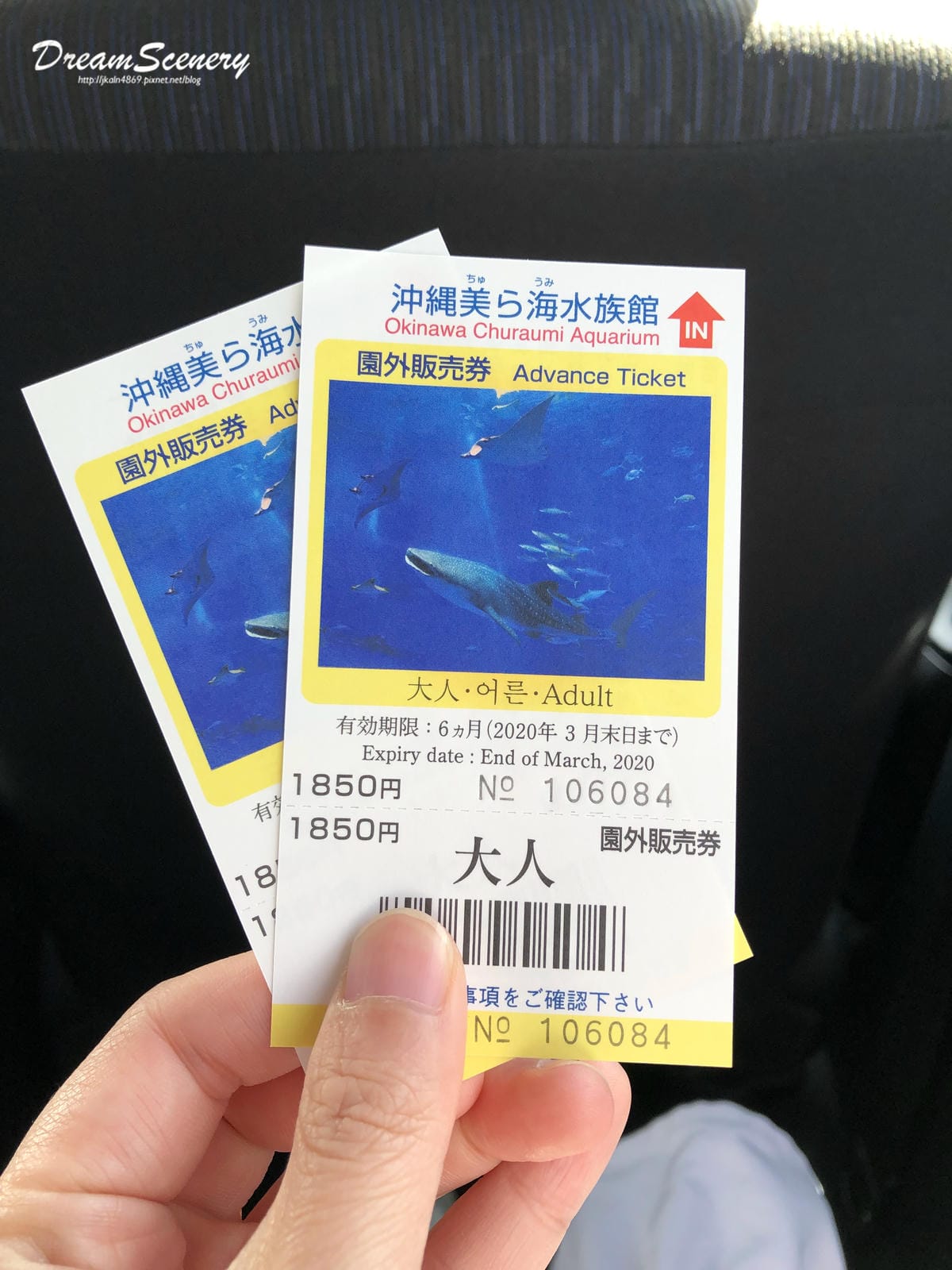 沖繩美麗海水族館 沖繩美麗海水族館