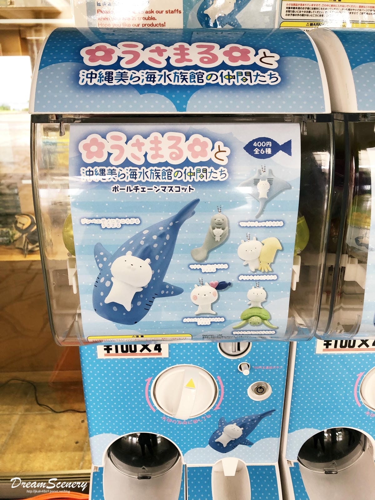 沖繩美麗海水族館 沖繩美麗海水族館