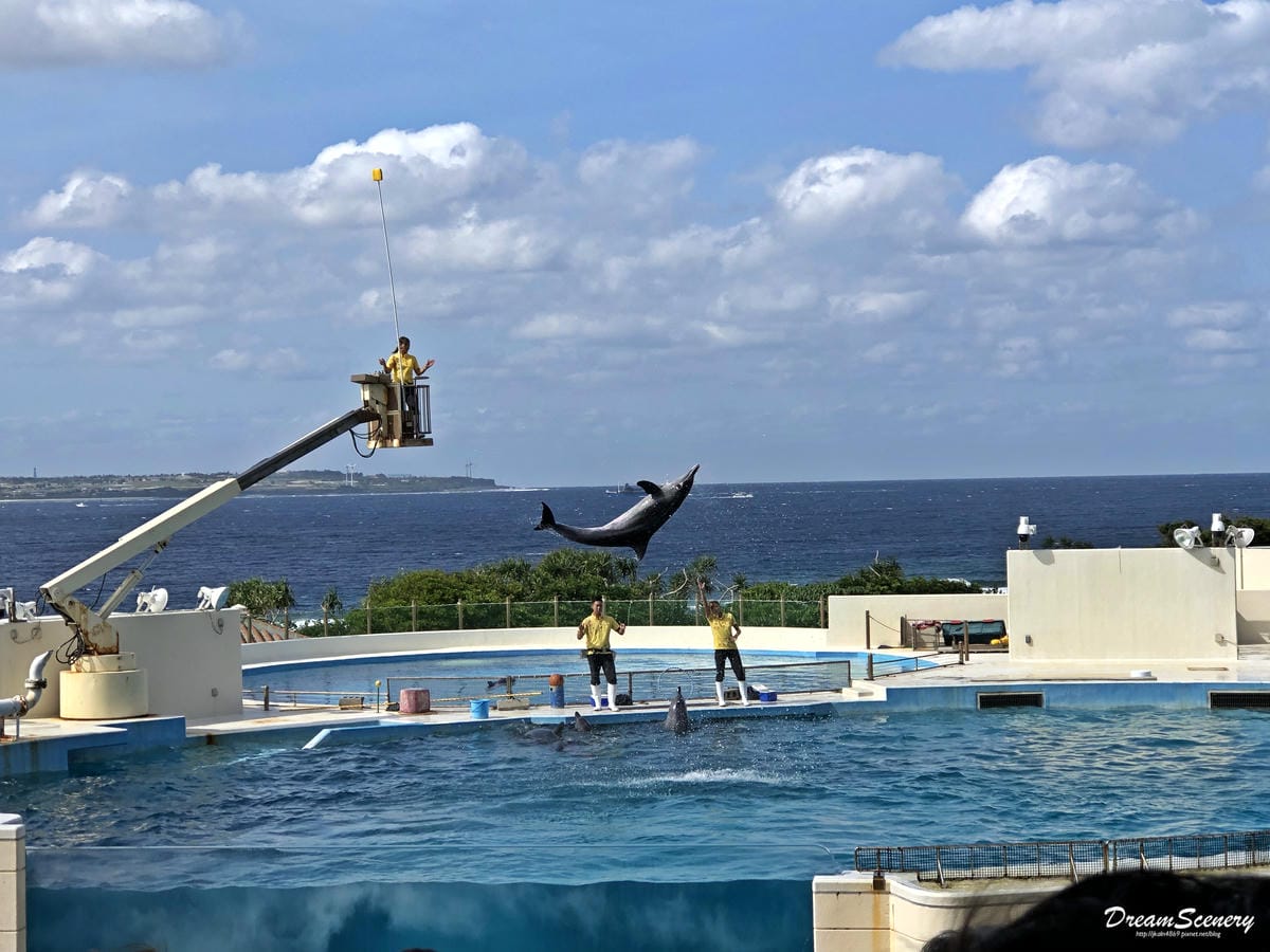 沖繩美麗海水族館 沖繩美麗海水族館