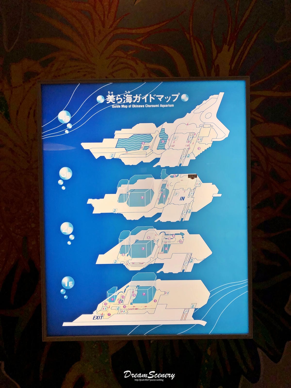 沖繩美麗海水族館 沖繩美麗海水族館