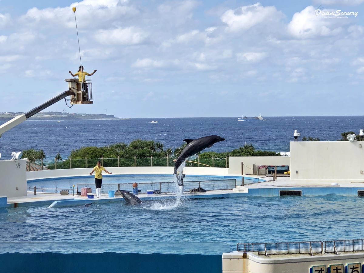 沖繩美麗海水族館 沖繩美麗海水族館