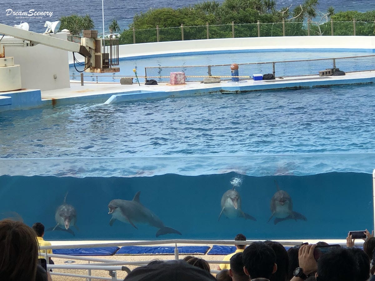 沖繩美麗海水族館 沖繩美麗海水族館