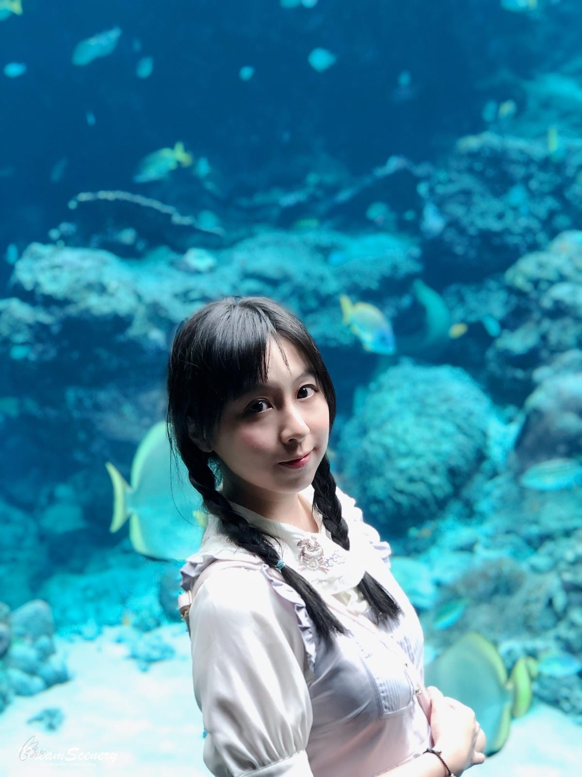 沖繩美麗海水族館 沖繩美麗海水族館