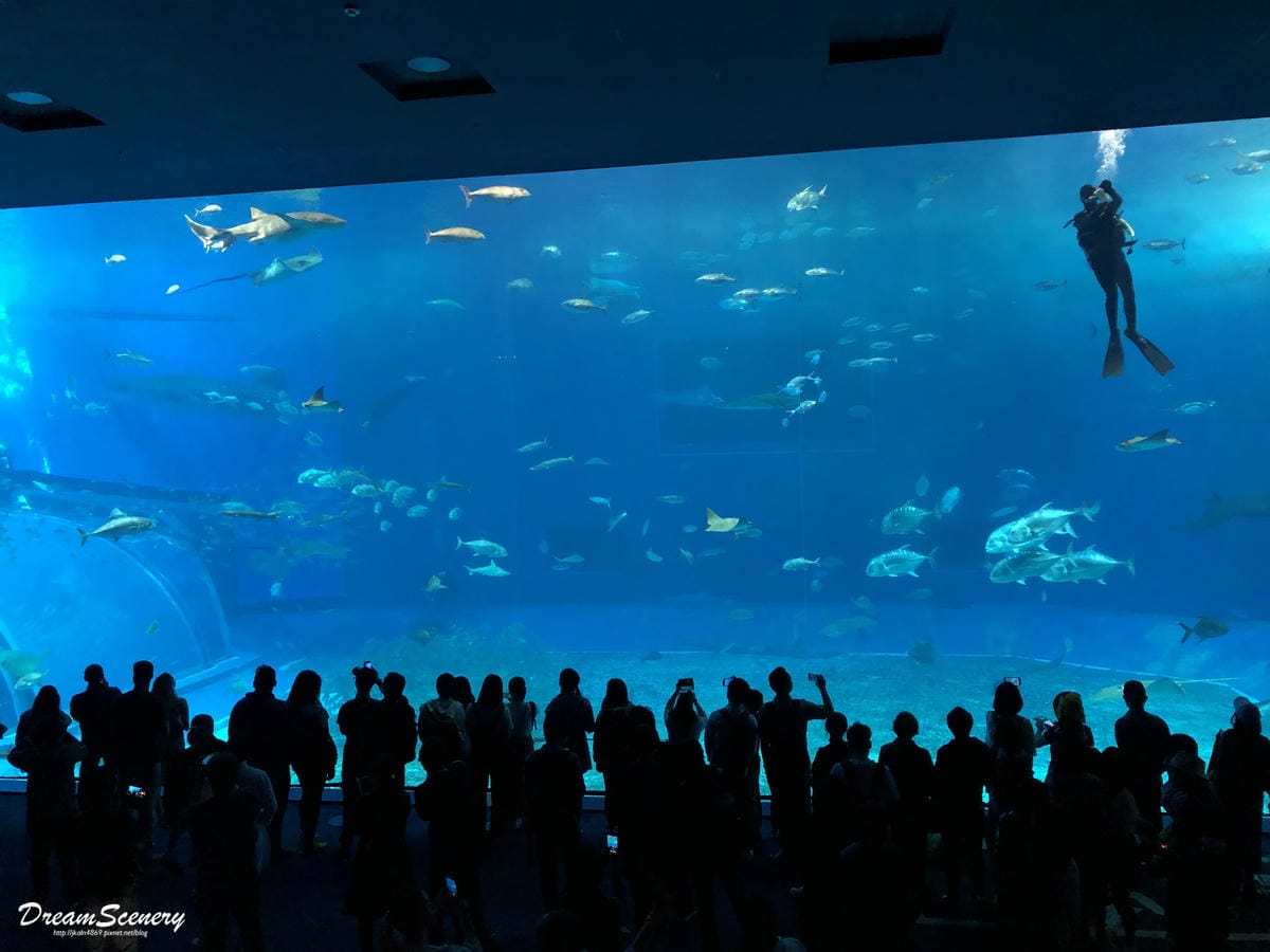 沖繩美麗海水族館 沖繩美麗海水族館