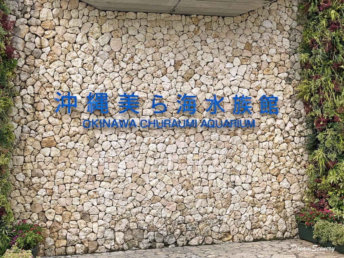 沖繩美麗海水族館 沖繩美麗海水族館