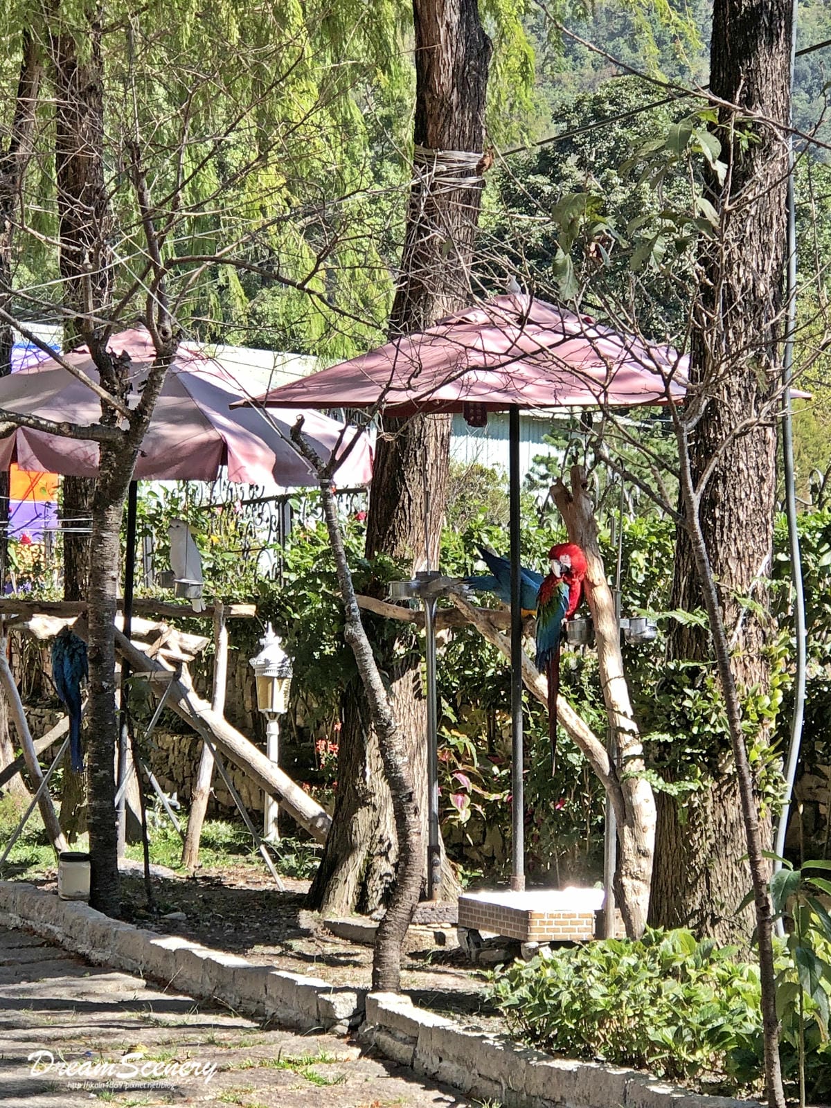歐莉葉荷城堡 歐莉葉荷城堡