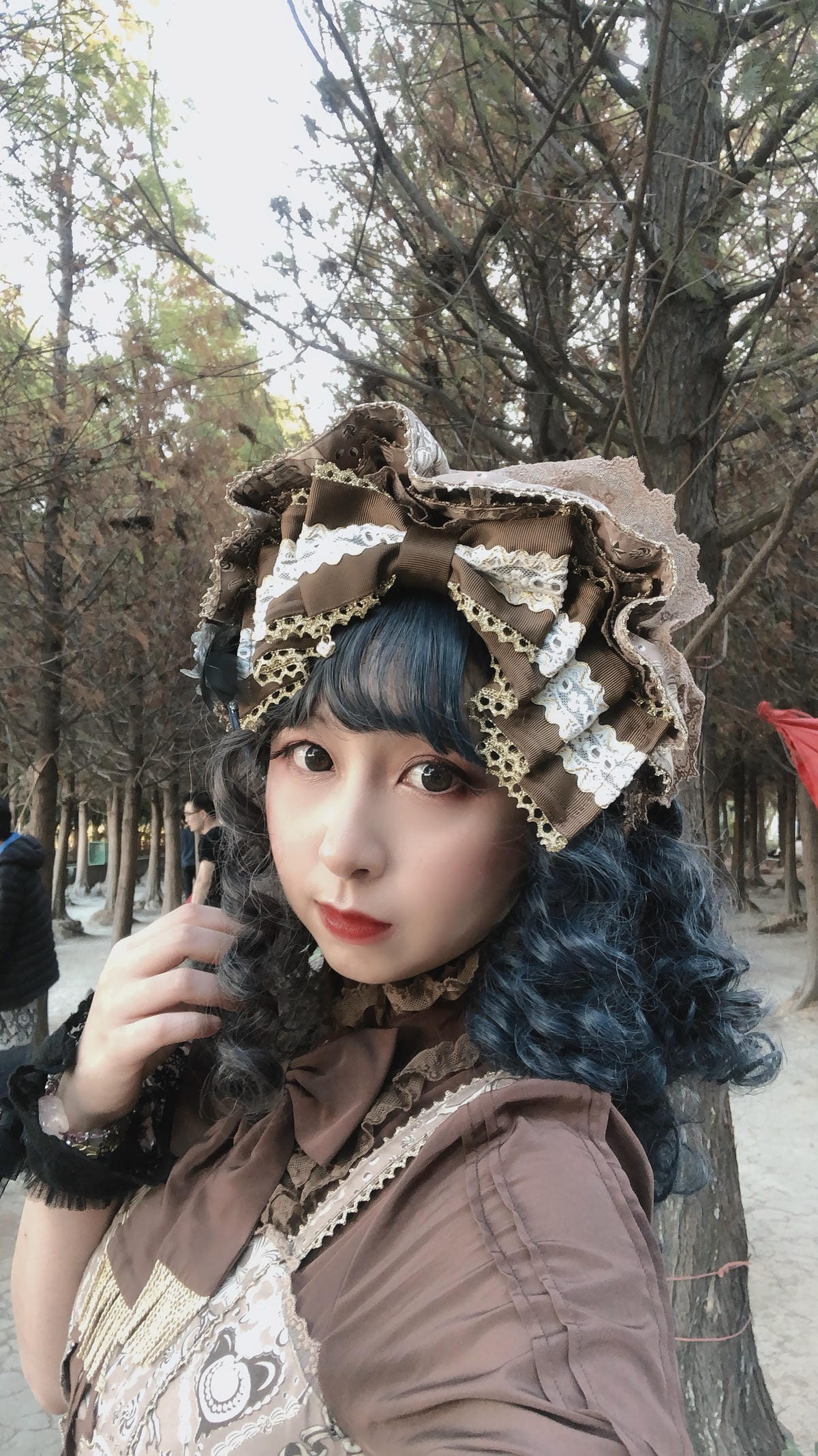 中科落羽松