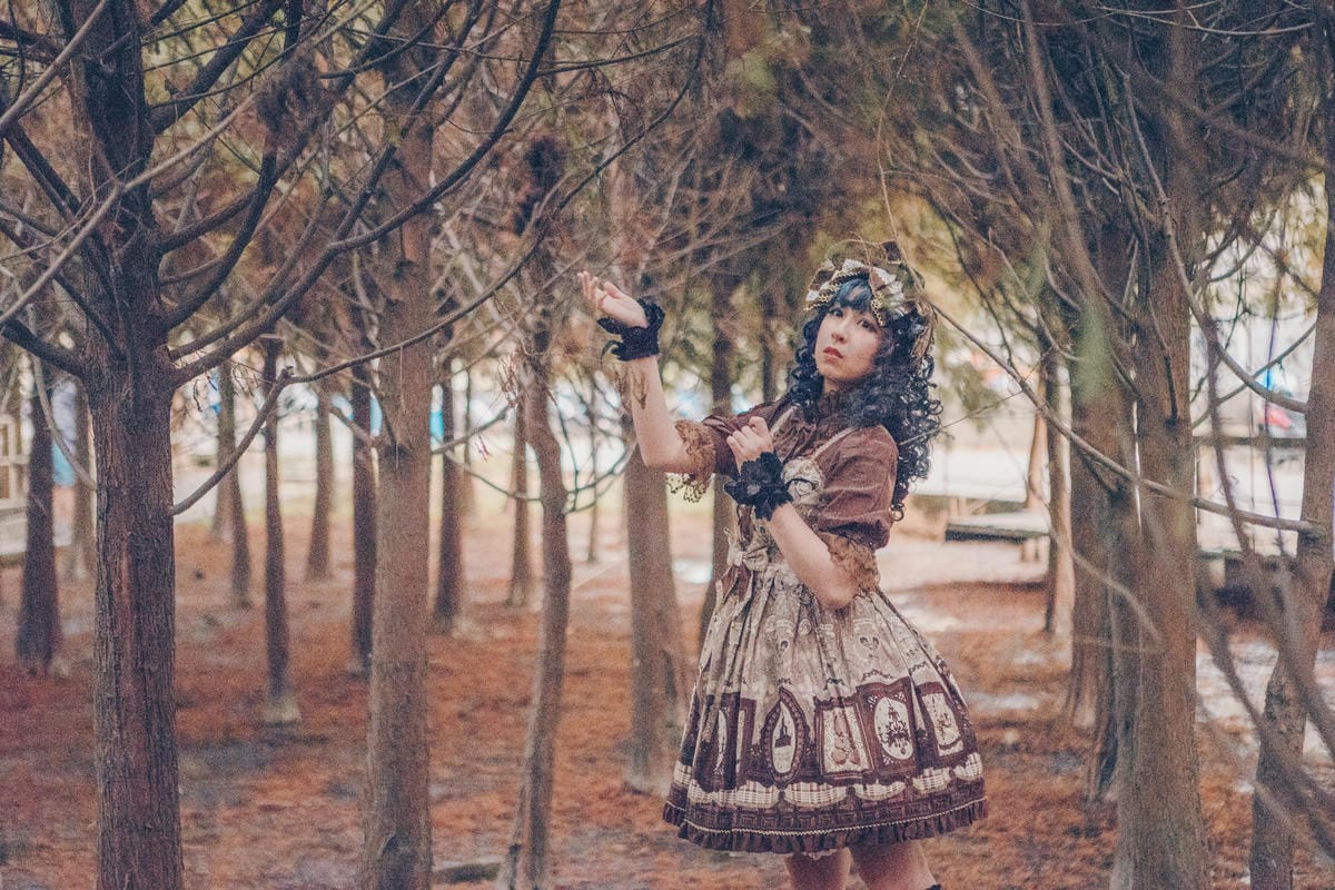 中科落羽松 中科落羽松