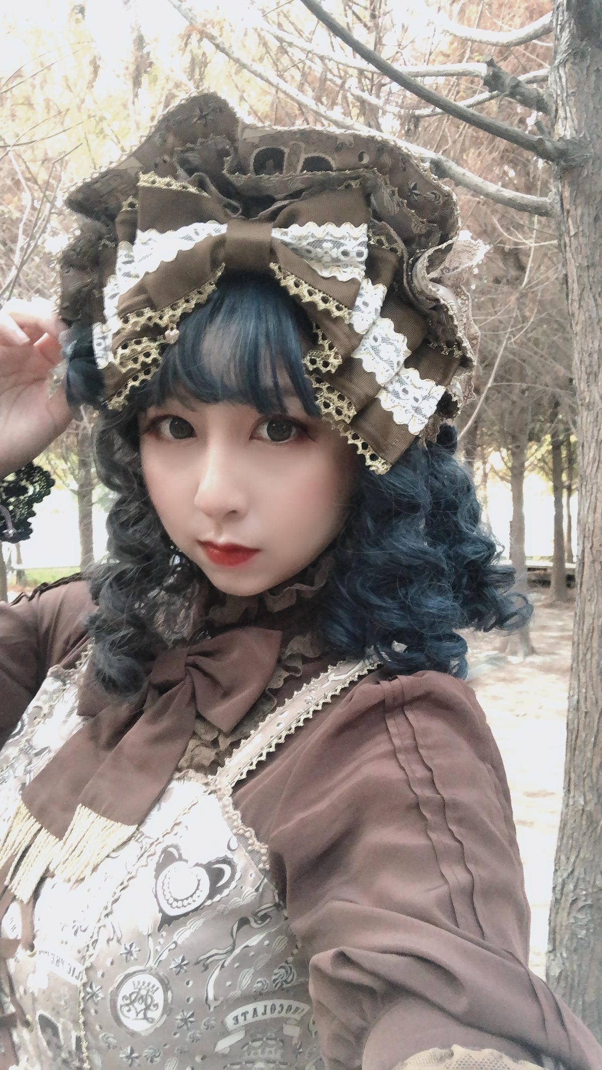 中科落羽松 中科落羽松