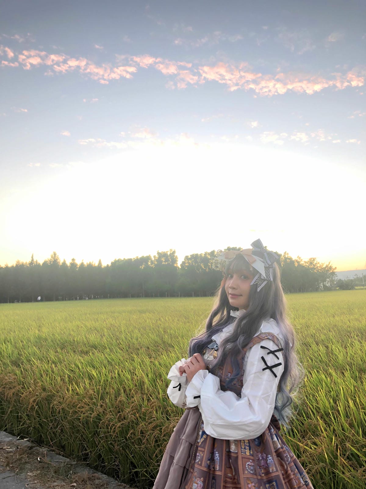 中科落羽松 中科落羽松