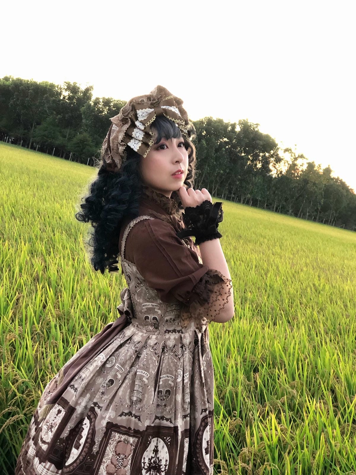 中科落羽松